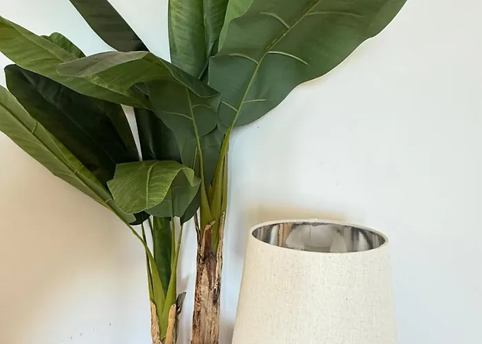 Esmeralda Sunrise Κάλπε