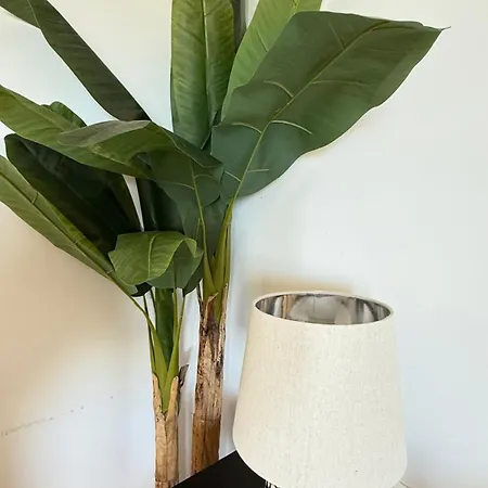 Esmeralda Sunrise Calp