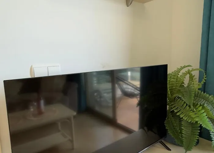 Esmeralda Sunrise * 卡尔佩